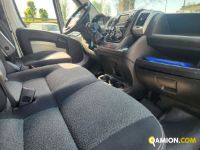 Fiat DUCATO Refrigerato | Altro Altro