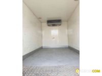 Iveco DAILY 50C13 6 MARCE FRIGORIFERO | Altro Altro