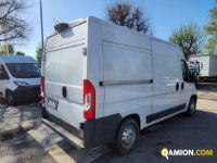 Fiat DUCATO Refrigerato | Altro Altro