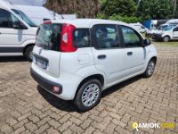 Fiat PANDA Euro 6 | Altro Altro