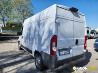 Fiat DUCATO Refrigerato | Altro Altro