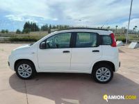 Fiat PANDA  | Altro Altro | Rizzo Veicoli Industriali Srl