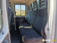 Iveco DAILY 35C11  | Altro Altro | Rizzo Veicoli Industriali Srl