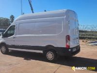Ford TRANSIT  | Altro Altro | Rizzo Veicoli Industriali Srl