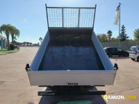 Iveco DAILY 35C11  | Altro Altro | Rizzo Veicoli Industriali Srl