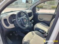 Fiat PANDA  | Altro Altro | Rizzo Veicoli Industriali Srl