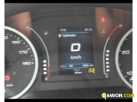 Iveco Daily 35 C14H 3450 HD RIB Daily 35 C14H 3450 HD RIB | Altro Altro | ATL SPA