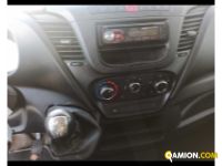 Iveco DAILY 35C16 BOX E FRIGO  DAILY 35C16 BOX E FRIGO  | Altro Altro | ATL SPA