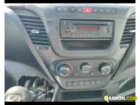 Iveco Daily 35 S15/2.3 V Daily 35 S15/2.3 V | Altro Altro | ATL SPA