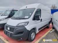 Fiat DUCATO VAN  DUCATO VAN  | Altro Furgone di serie / Van | ATL SPA