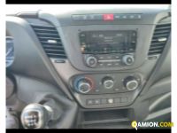 Iveco Daily 35 C14H BOX e SPONDA  Daily 35 C14H BOX e SPONDA  | Altro Altro | ATL SPA