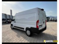 Fiat DUCATO ELETTRICO - FURGONE DUCATO ELETTRICO - FURGONE | Altro Altro | TENTORI