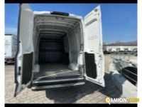 Iveco 35S14V - FURGONE DI SERIE 35S14V - FURGONE DI SERIE | Altro Altro | TENTORI