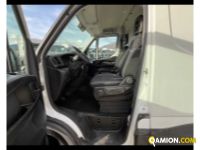 Iveco 35S12V - FURGONE DI SERIE 35S12V - FURGONE DI SERIE | Altro Altro | TENTORI