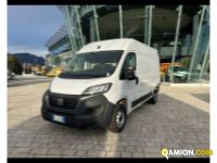 Fiat DUCATO - FURGONE DUCATO - FURGONE Altro | TENTORI