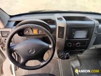 Mercedes SPRINTER 313 CDI F 37/33 SPRINTER 313 CDI F 37/33 | Altro Altro | Milano Industrial S.P.A.