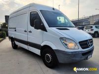 Mercedes SPRINTER 313 CDI F 37/33 SPRINTER 313 CDI F 37/33 | Altro Altro | Milano Industrial S.P.A.