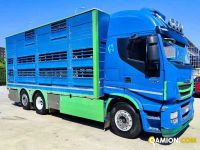 Iveco AS260S56Y/PS TRASPORTO ANIMALI AS260S56Y/PS TRASPORTO ANIMALI | Altro Altro | Milano Industrial S.P.A.