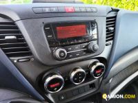 Iveco 35C16H3.0 CENTINA TELO | Milano Industrial S.P.A.