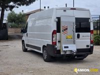 Fiat DUCATO DUCATO | spc servizi srl
