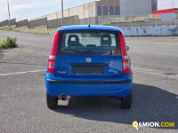 Fiat PANDA PANDA | spc servizi srl