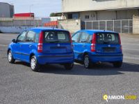 Fiat PANDA PANDA | spc servizi srl