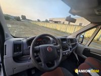Fiat DUCATO DUCATO | spc servizi srl