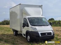 Fiat DUCATO DUCATO | spc servizi srl