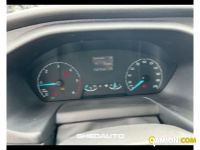 Ford Transit V363 RWD 2019 transit 350 tr.post.2.0 tdci 170cv trend L3H2 E6.2 | Altro Altro | GHEDAUTO Veicoli Industriali S.r.l.