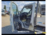 Iveco 65C15 65C15 | Altro Altro | GHEDAUTO Veicoli Industriali S.r.l.