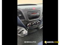 Iveco IVECO DAILY 35S14  35C9A | Altro Altro | GHEDAUTO Veicoli Industriali S.r.l.