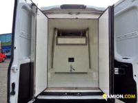 Iveco DAILY 33S14 Furgone 3520L isotermico con gruppo frigo | Altro Altro