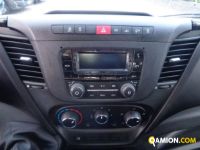 Iveco DAILY 35C14 cassone fisso (NUOVO) | Altro Altro | VIVA BRESCIA DIESEL SPA