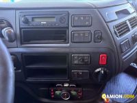 Daf XF480 trattore stradale | Motrice semirimorchio Altro | VIVA BRESCIA DIESEL SPA