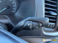 Ford Transit Custom 300 2.0 TDCi 130 MHEV PC Furgone Trend Transporter | VIVA BRESCIA DIESEL SPA