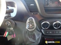 Iveco LEGGERO   DAILY 70C21 Hi-Matic LEGGERO   DAILY 70C21 Hi-Matic | Altro Furgonato | VIVA BRESCIA DIESEL SPA