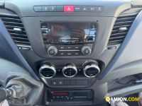 Iveco Medio   Daily 70C16 GRU e CASSONE FISSO | Autocarro fino 7.5t Carrellone | VIVA BRESCIA DIESEL SPA