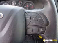 Iveco DAILY 35C16 3.0 Box e sponda | Altro Altro | VIVA BRESCIA DIESEL SPA