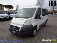 Fiat DUCATO 30 2.3 MJT 130CV  Panorama | Altro Altro | VIVA BRESCIA DIESEL SPA