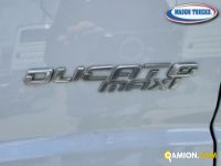 Fiat DUCATO ducato maxi | Mason Trucks