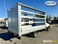 Iveco DAILY 35C16H 3.0 | Mason Trucks