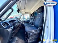 Iveco DAILY 35C16 DAILY 35C16 | Mason Trucks
