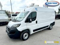 Fiat DUCATO DUCATO | Mason Trucks