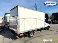 Iveco DAILY 35C16 DAILY 35C16 | Mason Trucks