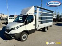 Iveco DAILY 35C16H 3.0 | Mason Trucks
