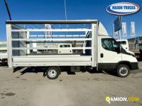 Iveco DAILY 35C16H 3.0 | Mason Trucks