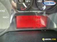 Iveco DAILY 35C12 DAILY 35C12 | Mason Trucks