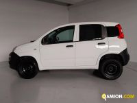 Fiat PANDA panda | Centro Auto Rossi SRL