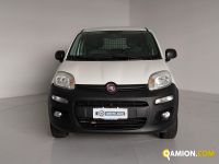 Fiat PANDA panda | Centro Auto Rossi SRL