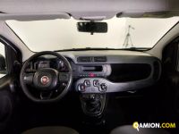 Fiat PANDA panda | Centro Auto Rossi SRL